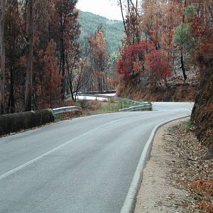 DSCN19351