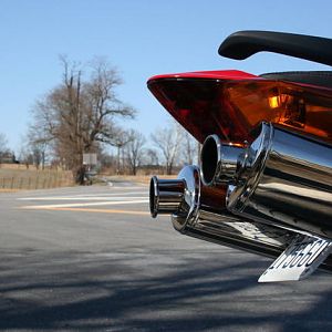 nice rear end
