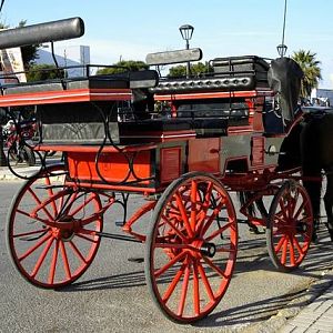 GP Coach
