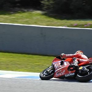 Duc