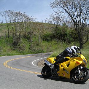 IMG_3979a
