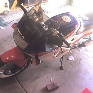 fender eliminator