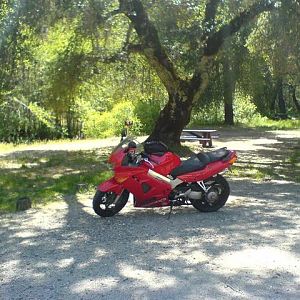 battle_7_campground_nacimiento-fergusen_road
