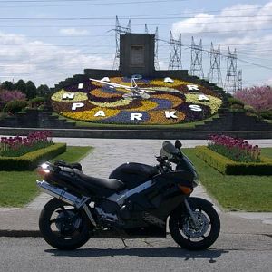 Floral_Clock1
