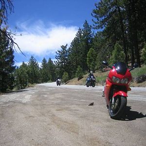 coming_down_pine_mtn