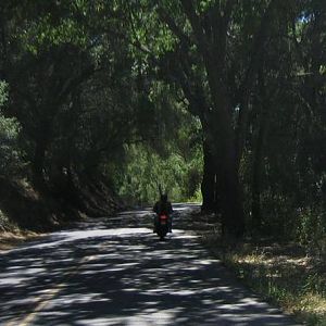 Jake_Chimney_Rock_into_grove