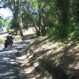 Jake_Vineyard_crashsite