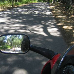 Jake_in_mirror_vineyard