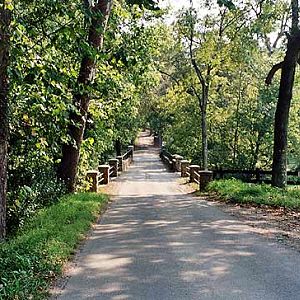 Virginia '05