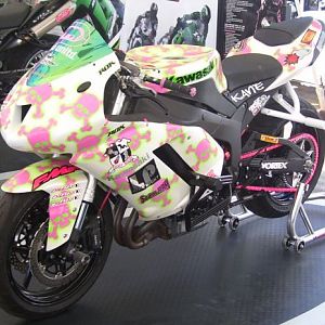 laguna_seca_pink_skulls