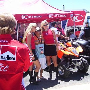 laguna_seca_tall_chicks