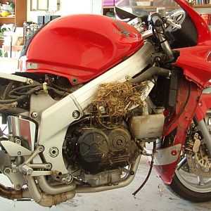 1996 Honda VFR750F