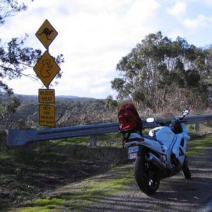 Lost in Victoria