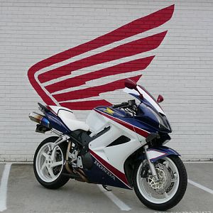 Wing_24