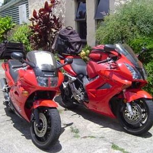 My Two Reds