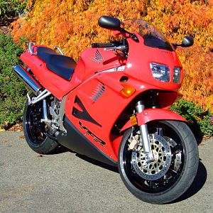Fall color and a VFR