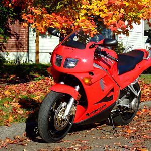 A Great fall day in the PNW.