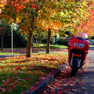 A Great fall day in the PNW.