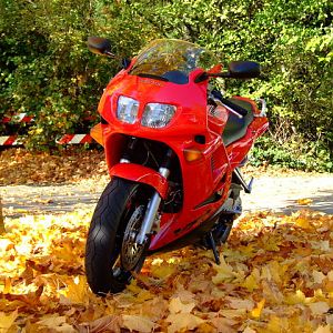 Just a nice fall day and a VFR
