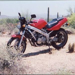Desert Hawk