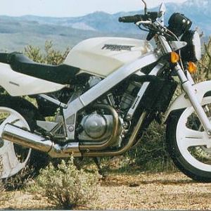 Desert Hawk