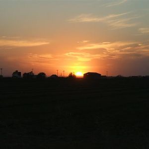 DSCF01941