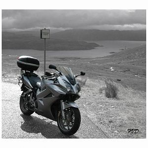 Member Album by FVD