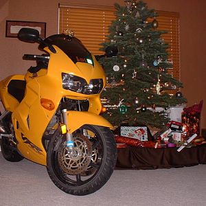 Merry Christmas