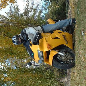 Dads_Toys-5