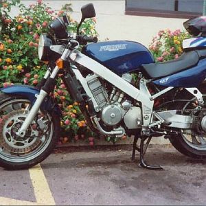 023_23bluside