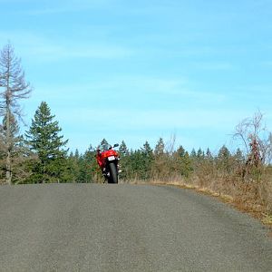 DSCF4624