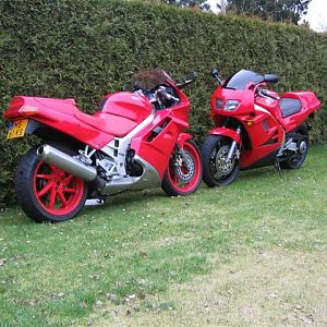 IMG_4213_Medium_