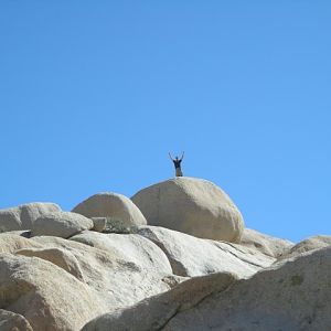 DSCN1020