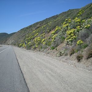 Picture_0032
