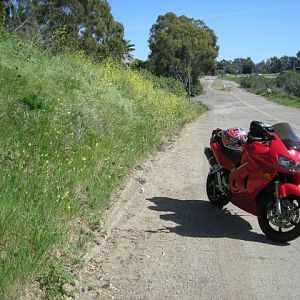 Picture_0042