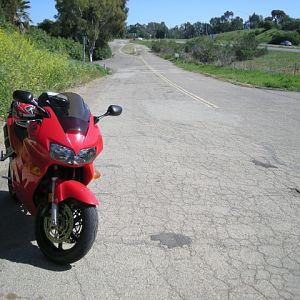 Picture_0054