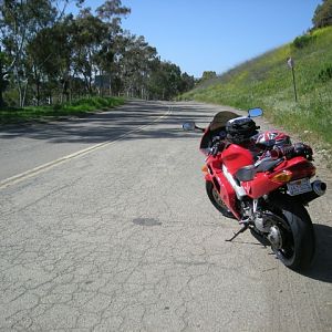 Picture_0061