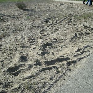 Little mishap on second saturday ride
