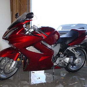Freshly washed...