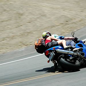 squid102