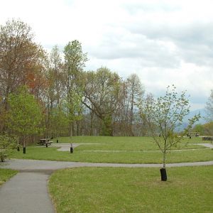 DSCF00141