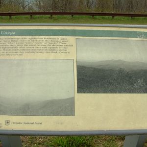 DSCF0043