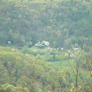 DSCF00521