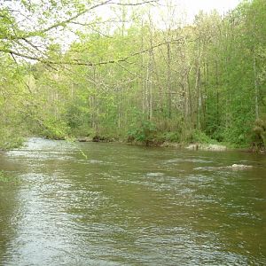 DSCF0056