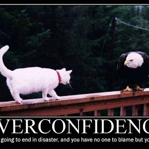 Overconfidence
