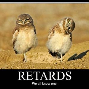 Retards