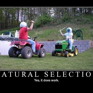 Natural_Selection