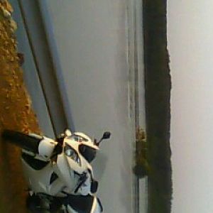 IMG0021A