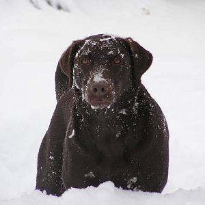 blizzard06_23_