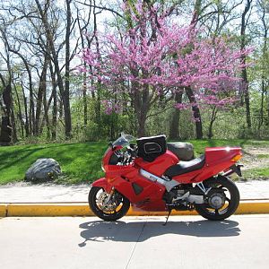Britt's 2001 VFR